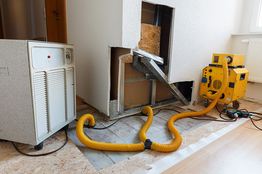 Mold Remediation