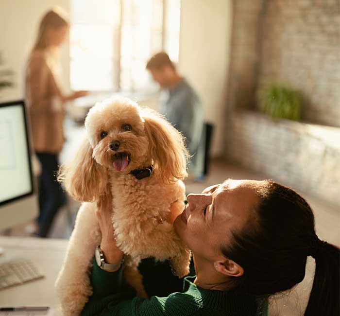 The Ultimate Guide to Pet Grooming: Tips and Techniques