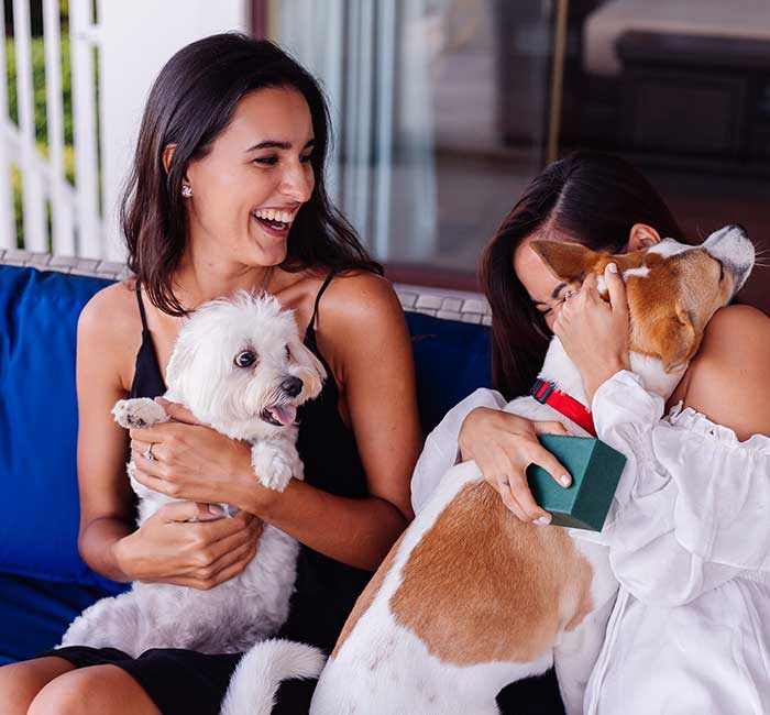 Creating a Pet-Friendly Home: Safety Tips and Design Ideas