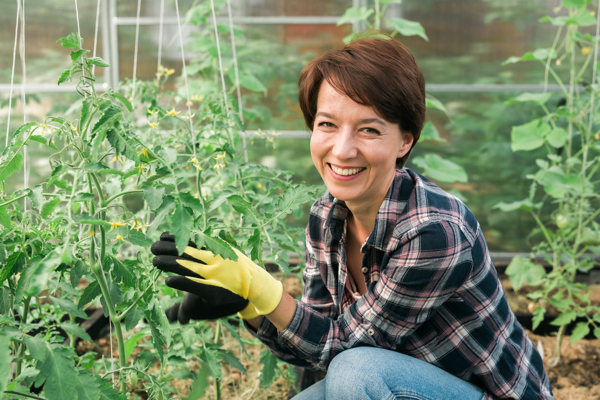 happy-gardener-woman-in-gloves-and-care-tomatoes-in-greenhouse-gardening-and-floriculture-garden.jpg