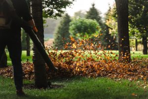 Seasonal Splendor: How to Maintain a Beautiful Landscape Year-Round