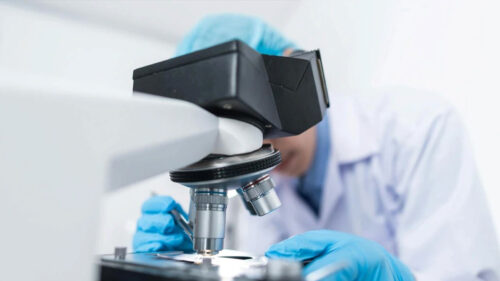 The Role of Medical Laboratories in Disease Testing
