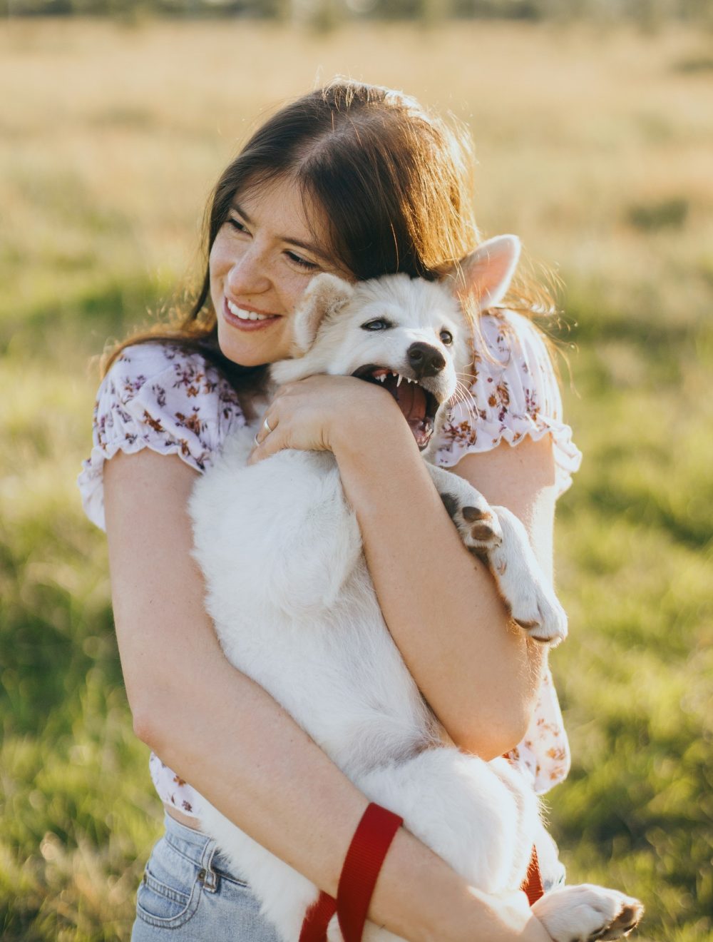 stylish-young-woman-hugging-cute-white-puppy-in-warm-sunset-light-in-summer-meadow.jpg