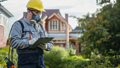 Buying a New Home? Here’s Why You Need a Pest Inspection First