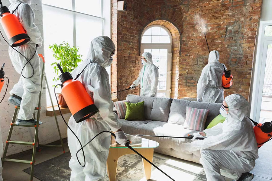 Residential Pest Control