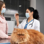 The Ultimate Guide to Puppy Training: From Basic Commands to Housebreaking