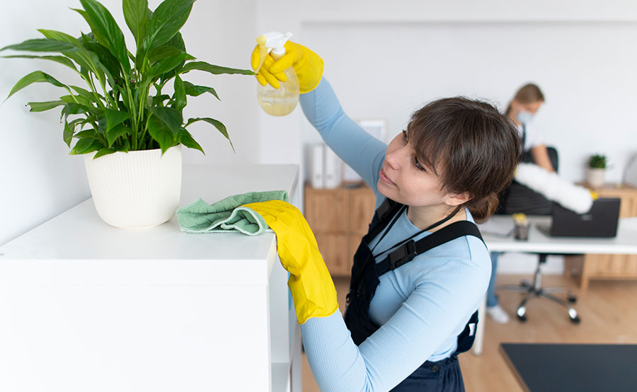 Business cleaning
