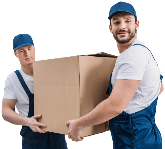 two-handsome-movers-transporting-cardboard-box-in-ER3BXQS.png