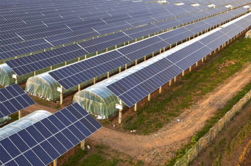 Agricultural Solar Integration