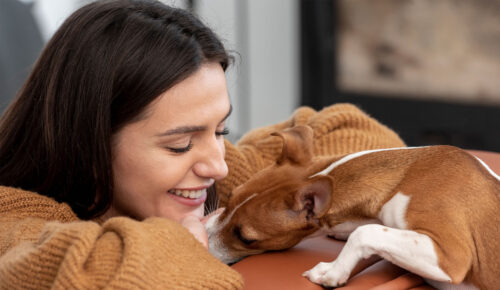 Pet Safety Tips: How to Pet-Proof Your Home